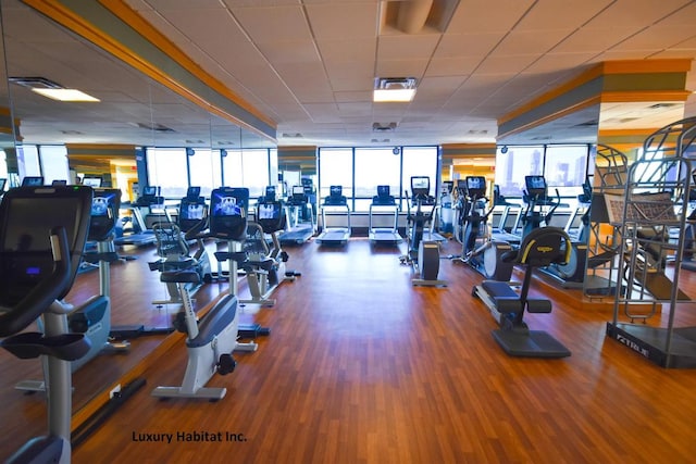 exercise room with a paneled ceiling, wood finished floors, visible vents, and floor to ceiling windows