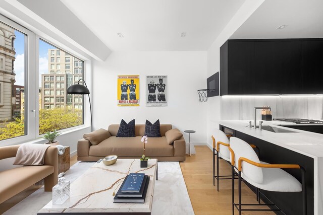 living room with baseboards, light wood-style floors, and a healthy amount of sunlight