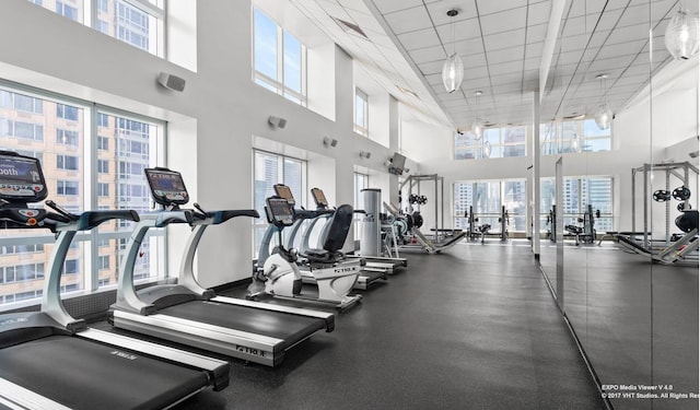 workout area featuring a paneled ceiling and a wealth of natural light