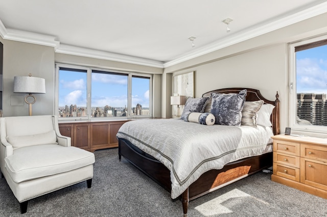 carpeted bedroom featuring multiple windows, a city view, and ornamental molding