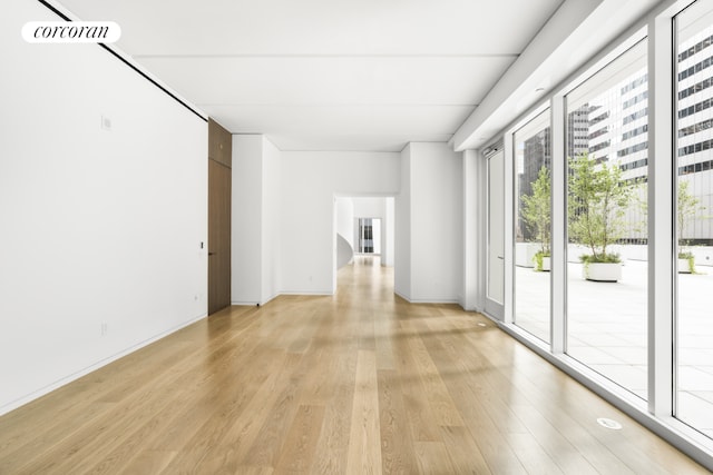 empty room featuring light wood-type flooring