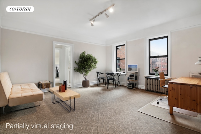 carpeted office featuring radiator, crown molding, and rail lighting