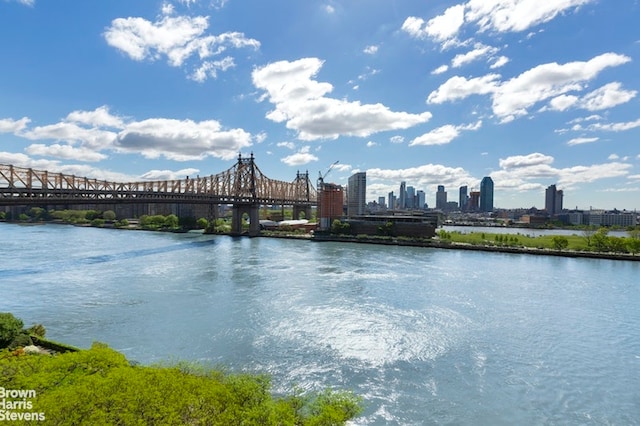 property view of water