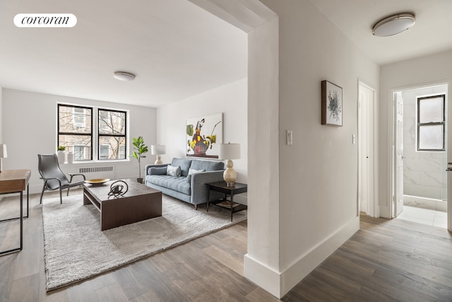 living room with radiator heating unit and wood-type flooring