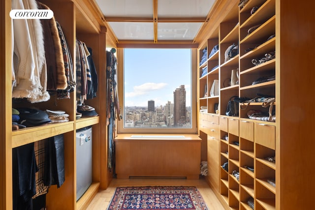 walk in closet featuring light hardwood / wood-style floors