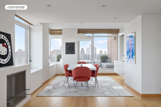 dining room featuring plenty of natural light and light hardwood / wood-style flooring