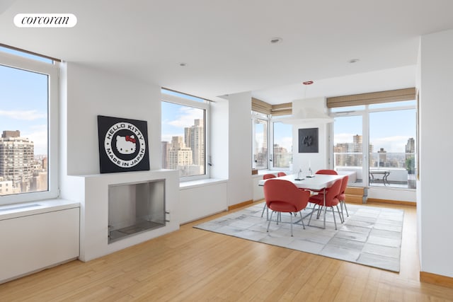 dining room with light hardwood / wood-style flooring