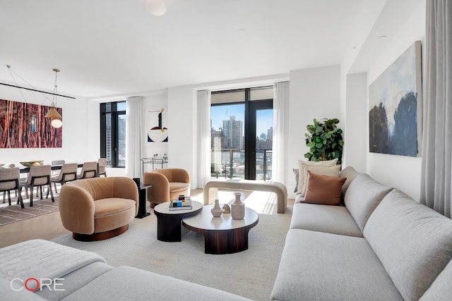 living room with a wealth of natural light