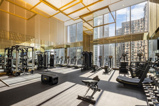 gym with expansive windows