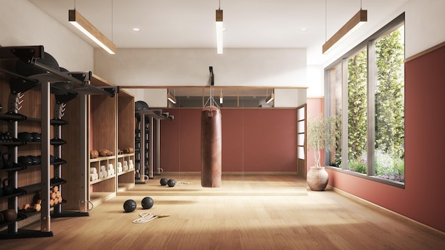 workout area with wood finished floors