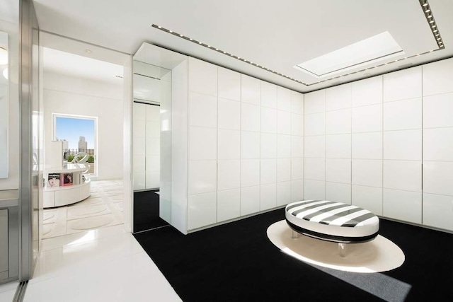 bathroom with a skylight