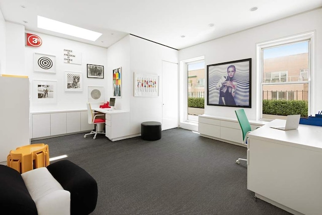 home office featuring a skylight and plenty of natural light