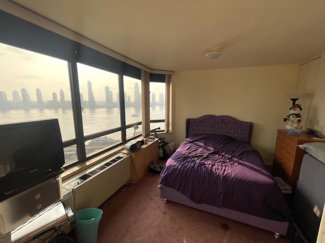 bedroom with carpet flooring