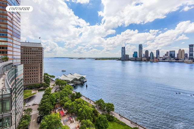 water view featuring a city view