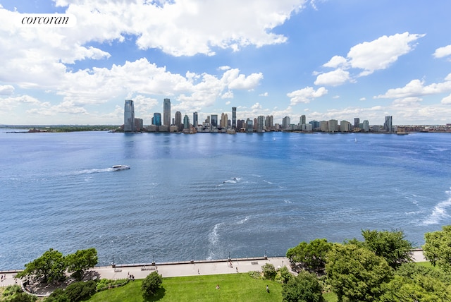 20 River Ter Unit 20D, New York City, NY 10282 - water view with skyline
