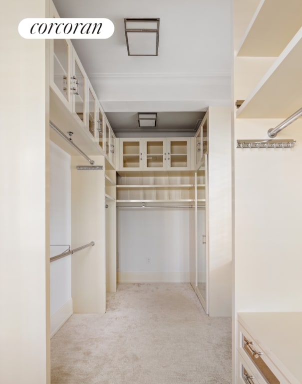 spacious closet featuring light colored carpet