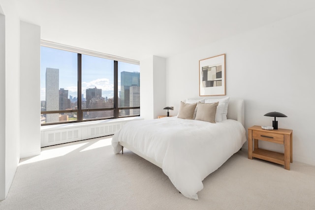 carpeted bedroom featuring a city view