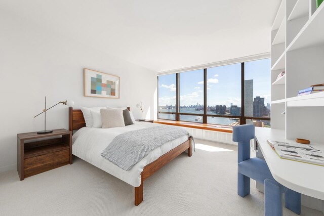 bedroom featuring a view of city and light carpet