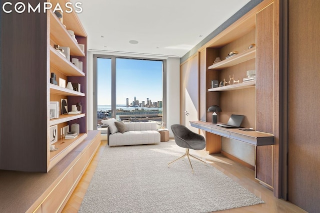 office space featuring expansive windows, light hardwood / wood-style flooring, built in desk, and built in shelves