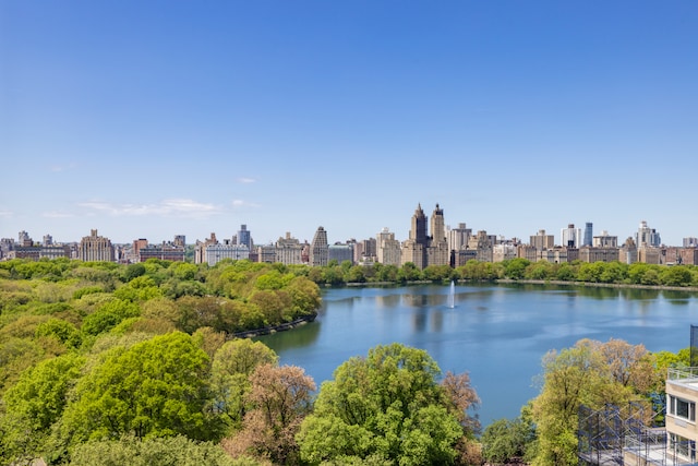 1049 5th Ave Unit 19B, New York City, NY 10028 - water view featuring skyline