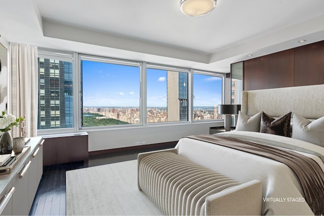 bedroom with dark wood finished floors, multiple windows, and radiator heating unit