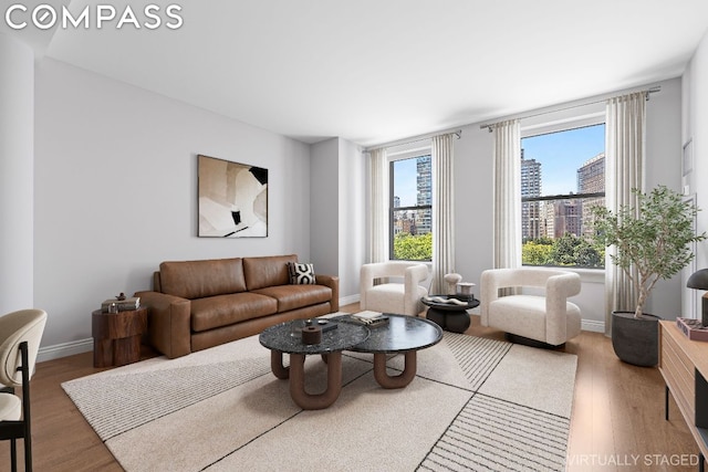 living room with hardwood / wood-style flooring