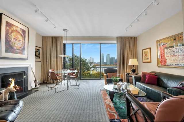 carpeted living room featuring rail lighting