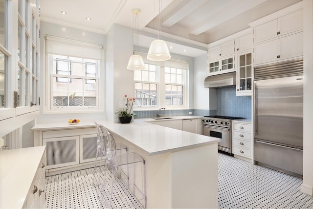 kitchen featuring plenty of natural light, premium appliances, a peninsula, under cabinet range hood, and a sink