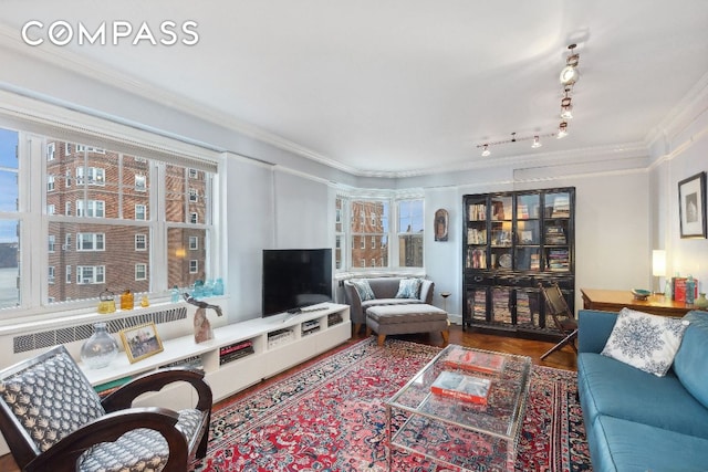 living room featuring crown molding, parquet flooring, and rail lighting