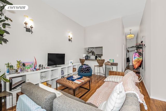 living room featuring hardwood / wood-style flooring