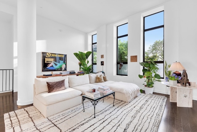 living room featuring hardwood / wood-style flooring and a towering ceiling