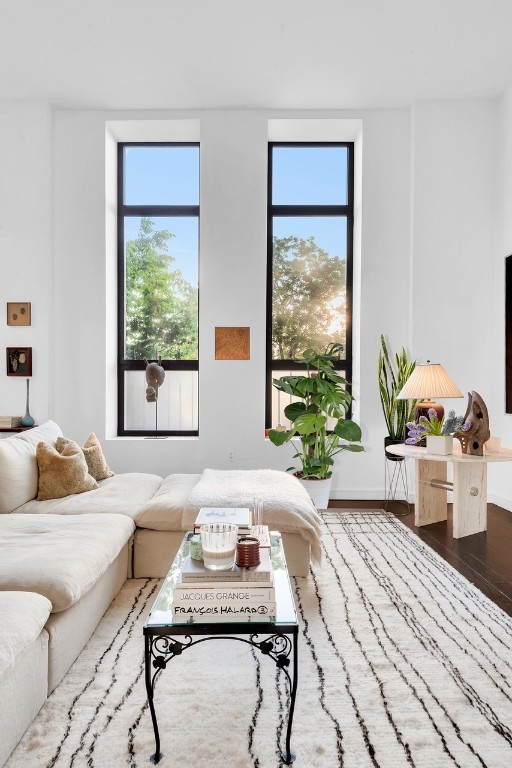 living room with hardwood / wood-style floors