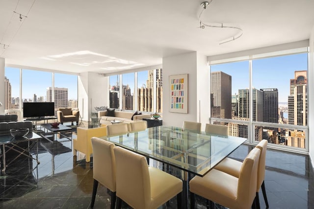 dining space with a healthy amount of sunlight and floor to ceiling windows