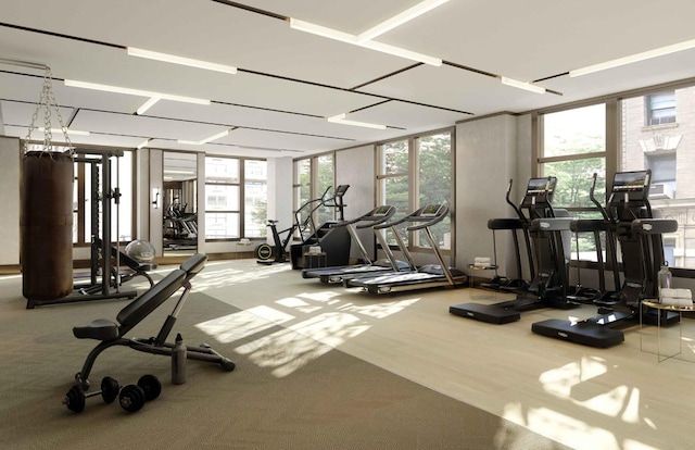 exercise room with carpet floors