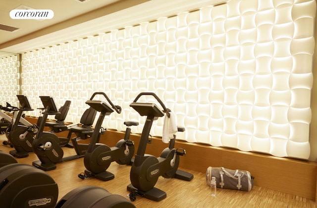 exercise room featuring light hardwood / wood-style floors