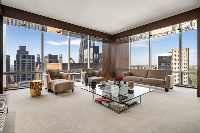 carpeted living area with a healthy amount of sunlight and a city view