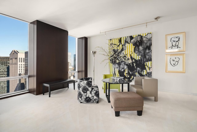living area with carpet flooring, a view of city, rail lighting, and expansive windows