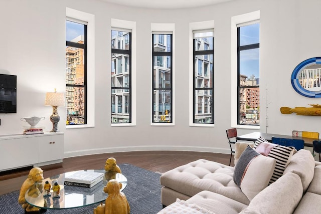 living room with plenty of natural light and hardwood / wood-style floors