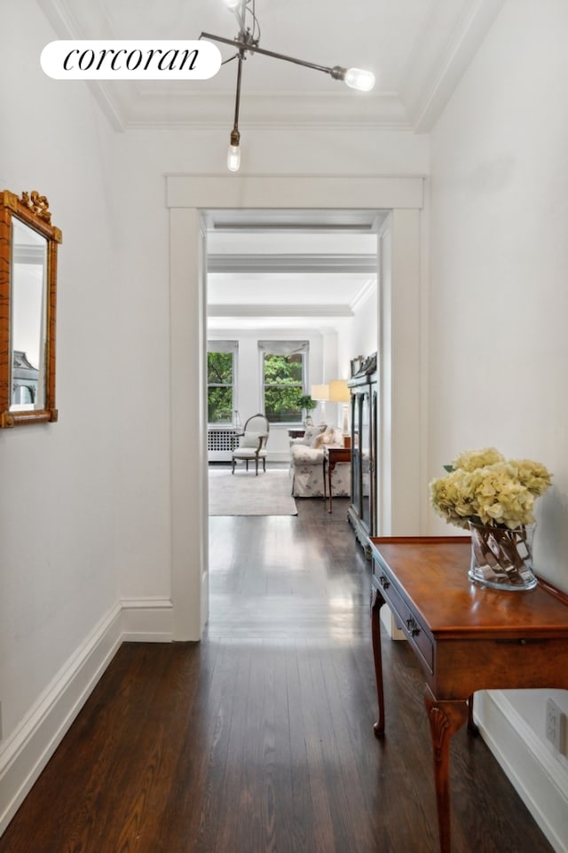 hall featuring baseboards, ornamental molding, and dark wood finished floors