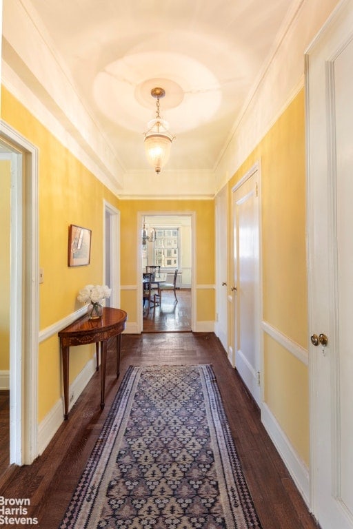 hall featuring dark hardwood / wood-style flooring and ornamental molding