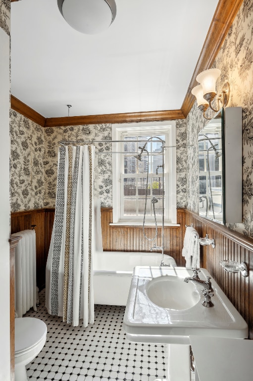 bathroom featuring crown molding, sink, and toilet