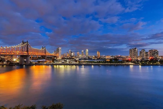 view of water feature with a view of city