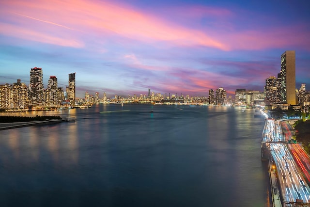 water view featuring a city view