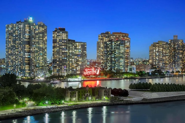 view of water feature with a view of city lights