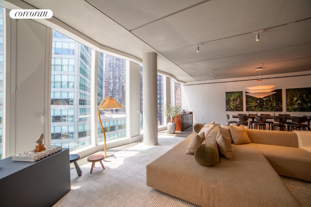 living room with a wall of windows, track lighting, and light carpet