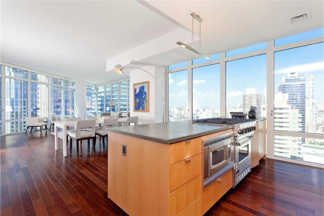 kitchen featuring dark hardwood / wood-style floors, expansive windows, and appliances with stainless steel finishes