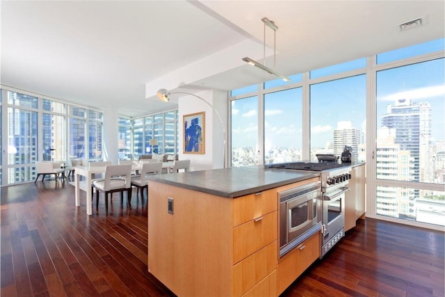 kitchen featuring expansive windows, stainless steel appliances, and dark hardwood / wood-style floors