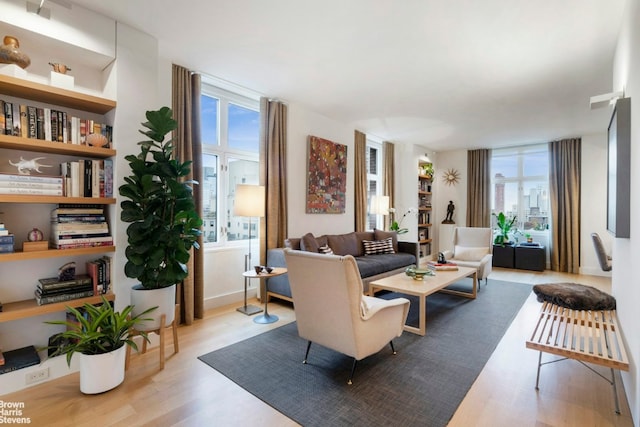 living room with light wood-type flooring