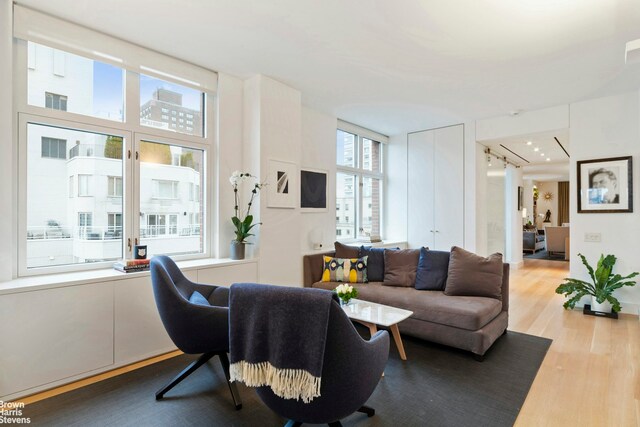 living room featuring light hardwood / wood-style flooring