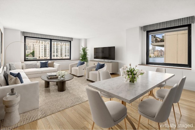 living room with light hardwood / wood-style floors